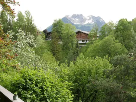 Tree-Tops, Chalet Appartement/Fewo, Dusche und Bad, WC 9-Bettwohnung - Photo 12
