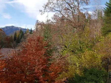 Tree-Tops, Chalet Appartement/Fewo, Dusche und Bad, WC 9-Bettwohnung - Photo 17