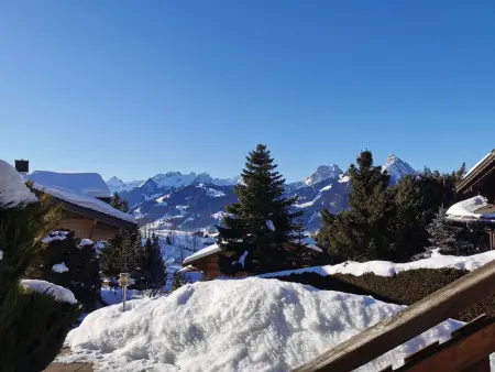 4-Bettwohnung, Appartement 4 personnes à Gstaad - Photo 3