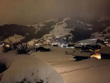 4-Bettwohnung, Appartement 4 personnes à Gstaad - Photo 5