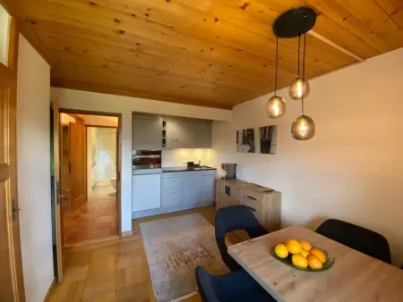 Les Hivernants (EG links) Appartement/Fewo, Dusche oder Bad, WC, 1 Schlafraum - Photo 15