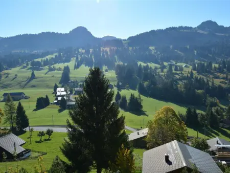 9-Bettwohnung, Appartement 9 personnes à Gstaad - Photo 8