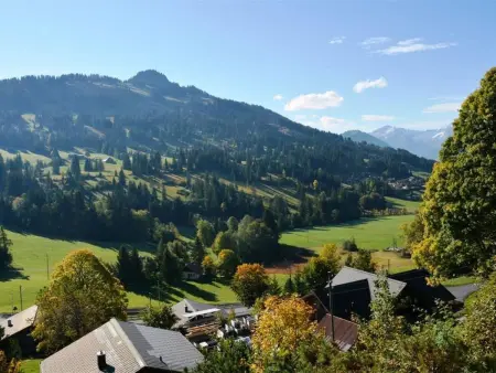 9-Bettwohnung, Appartement 9 personnes à Gstaad - Photo 9