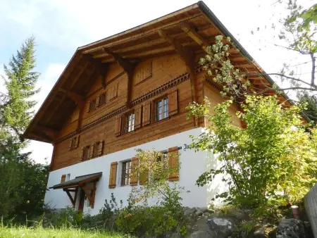 5-Bettwohnung, Appartement 5 personnes à Gstaad - Photo 4