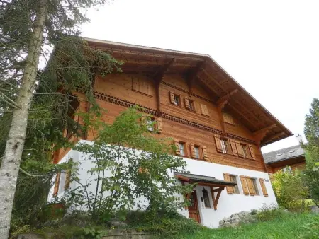 5-Bettwohnung, Appartement 5 personnes à Gstaad - Photo 5