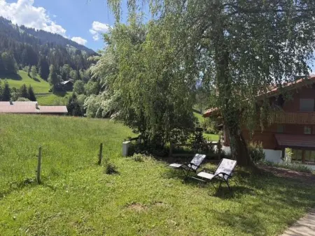 2-Bettwohnung, Appartement 2 personnes à Gstaad - Photo 10