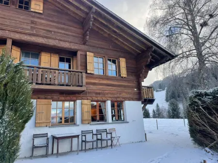2-Bettwohnung, Appartement 2 personnes à Gstaad - Photo 18