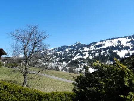 5-Bettwohnung, Appartement 5 personnes à Gstaad - Photo 9