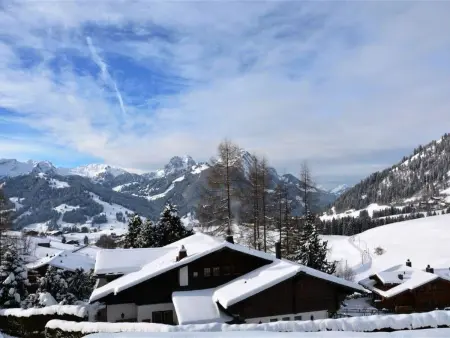 4-Bettwohnung, Appartement 4 personnes à Gstaad - Photo 4