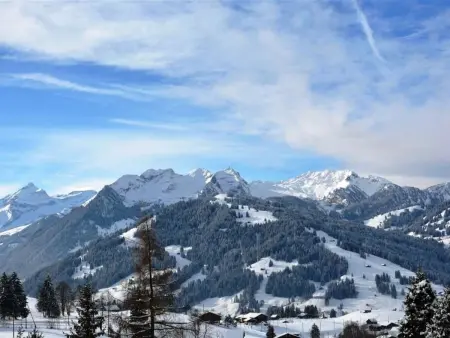 4-Bettwohnung, Appartement 4 personnes à Gstaad - Photo 5
