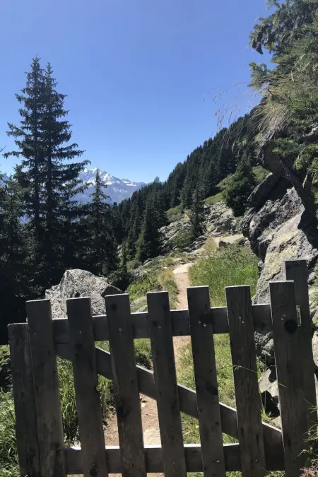 3 1/2 Zimmerwohnung, 6-Betten, Appartement 6 personnes à Riederalp - Photo 17