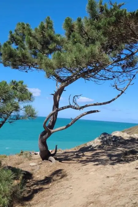 Wunderschöne Wohnung 40m vom Strand entfernt, Appartement 4 personnes à Pléneuf Val André - Photo 20