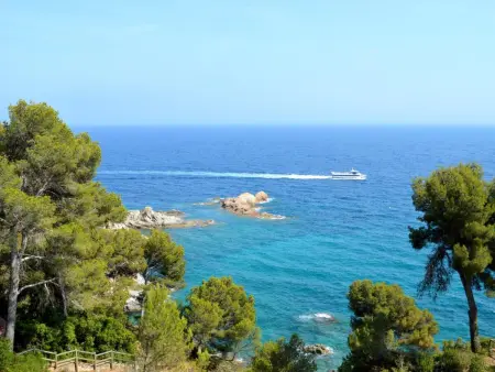Studio face mer - 2 pers., Appartement 2 personnes à Tossa de Mar - Photo 11