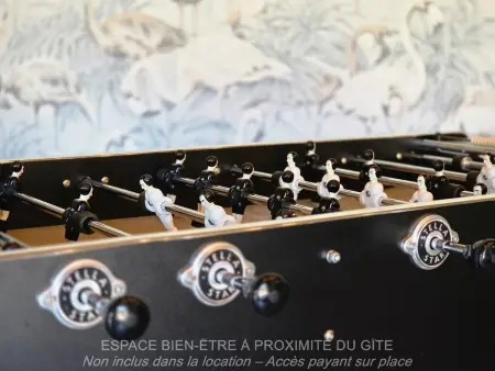 Gîte avec parking privé et spa - 11 pers., Gite 11 personnes à BRUILLE LEZ MARCHIENNES - Photo 25