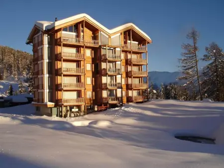 Appartement/Fewo, Dusche oder Bad, WC, Appartement 5 personnes à Riederalp - Photo 4