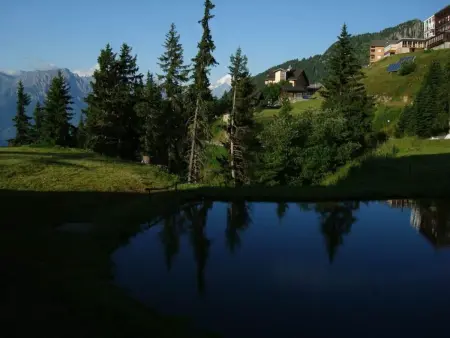 Appartement/Fewo, Dusche oder Bad, WC, Appartement 5 personnes à Riederalp - Photo 9