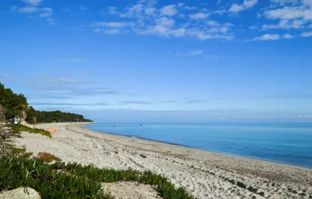 HAUT DE VILLA PROCHE MER, Appartement 4 personnes à ALERIA - Photo 14