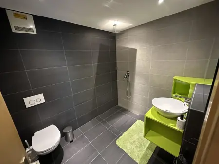 Alouette Appartement/Fewo Apartment Lama, Appartement 4 personnes à Saas Almagell - Photo 12