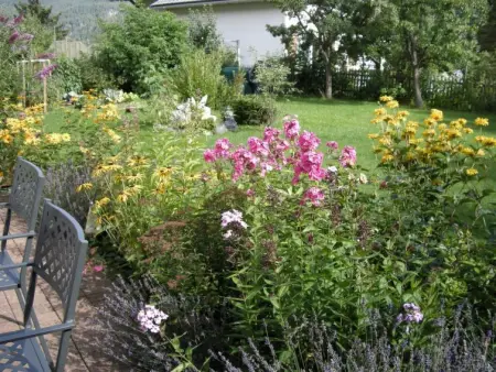 Ferienwohnungen Senda 495D, Appartement 2 personnes à Scuol - Photo 11