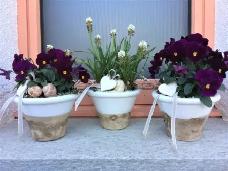 Ferienwohnungen Senda 495D, Appartement 2 personnes à Scuol - Photo 6