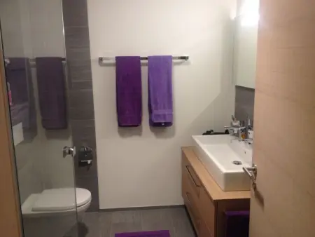 Ferienwohnung PANORAMA LODGE, Appartement 4 personnes à Scuol - Photo 17