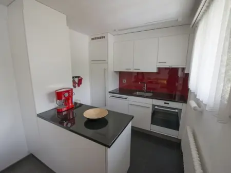 Ferienwohnung STEINMANN, Appartement 4 personnes à Scuol - Photo 15