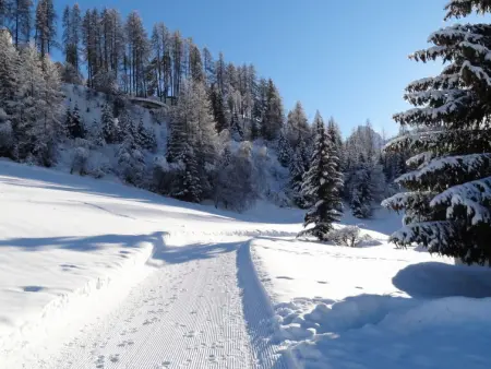 Ferienwohnung Chasa Quadra, Appartement 4 personnes à Tarasp - Photo 16