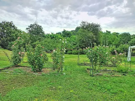 BB10 Oasi, Gite 4 personnes à Arona - Photo 28