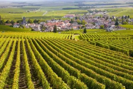 Le Puley est un petit village paisible situé au cœur de la Bourgogne. - Photo 17