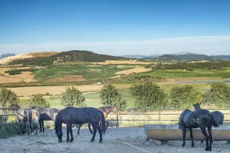 Cortijo Sierra y Lago, Alterhome Andalusian Cortijo pour 13 personnes avec piscine, wifi, sierra et lac - Photo 37