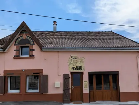 Gîte champêtre, animaux OK, verdoyant, Gite 5 personnes à Mélisey - Photo 29