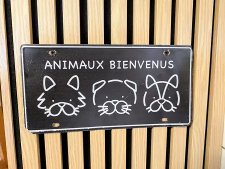Gîte champêtre, animaux OK, verdoyant, Gite 5 personnes à Mélisey - Photo 31