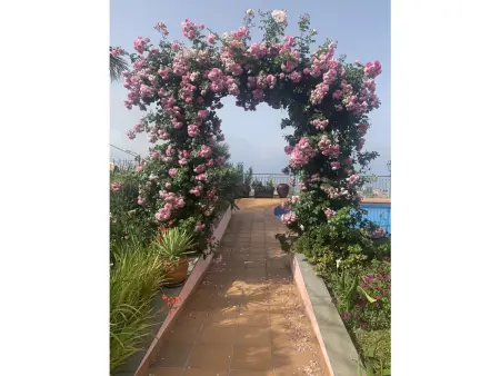 205067, Villa à Ponta do Sol avec piscine - Photo 9