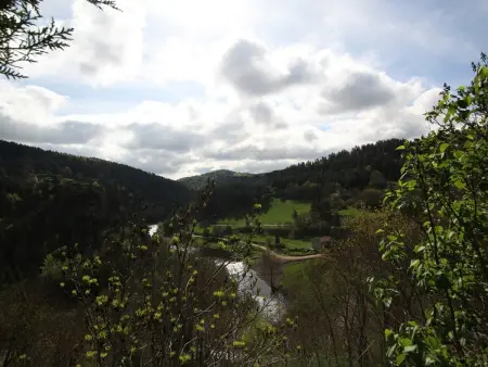 Gîtes mitoyens avec vue sur la Loire - 10 pers. - Photo 8
