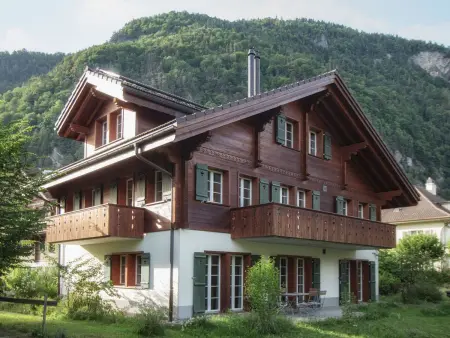 CityChalet Appartement/Fewo Enzian****, Appartement 6 personnes à Interlaken - Photo 1