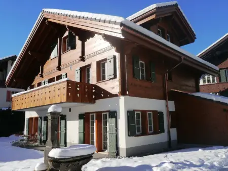 CityChalet Appartement/Fewo Enzian****, Appartement 6 personnes à Interlaken - Photo 5