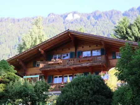 Chalet Rosemarie Appartement/Fewo 4-Bettwohnung, Appartement 4 personnes à Ringgenberg - Photo 39