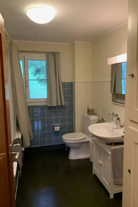 Chalet Rosemarie Appartement/Fewo 4-Bettwohnung, Appartement 4 personnes à Ringgenberg - Photo 41