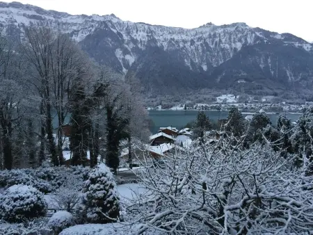 Chalet Rosemarie Appartement/Fewo 4-Bettwohnung, Appartement 4 personnes à Ringgenberg - Photo 51