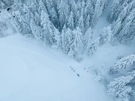 La Chotte du Musher, (Champery)., Maison 3 personnes à Champery - Photo 3