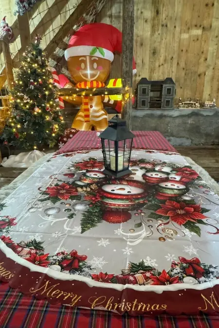 La Chotte du Musher, (Champery)., Maison 3 personnes à Champery - Photo 5