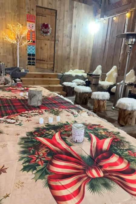 La Chotte du Musher, (Champery)., Maison 3 personnes à Champery - Photo 15