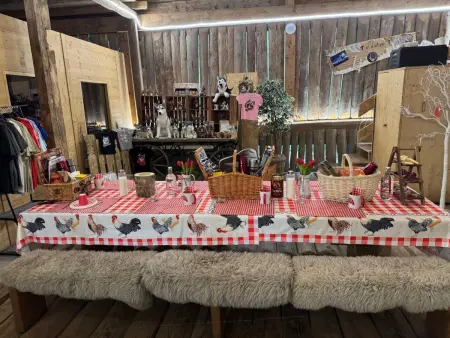 La Chotte du Musher, (Champery)., Maison 3 personnes à Champery - Photo 16