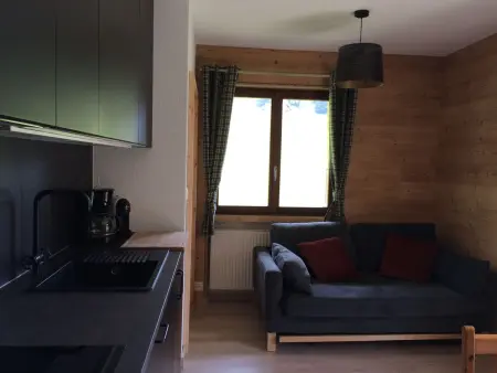 Résid. D Appartement 1, (Les Crosets),, Appartement 4 personnes à Les Crosets - Photo 1