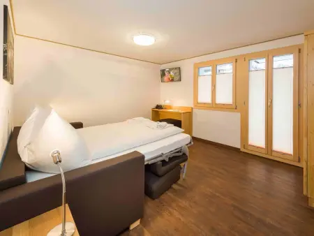 Lunic, AZapartments.ch, B&B, (Grächen), 1057, Appartement 10 personnes à Grächen - Photo 11