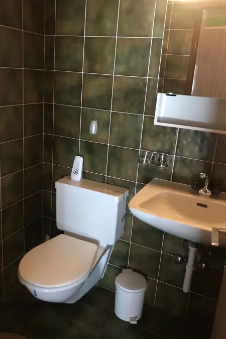 Dachwohnung Nr. 30 - Haus Opal, (Grächen), 1606 - Photo 7