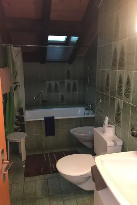 Dachwohnung Nr. 30 - Haus Opal, (Grächen), 1606 - Photo 12