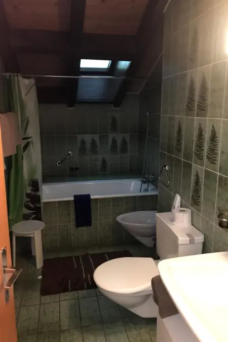 Dachwohnung Nr. 30 - Haus Opal, (Grächen), 1606 - Photo 25