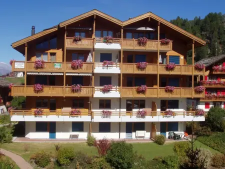 Metropol A9, (Grächen), 1126, Appartement 2 personnes à Grächen - Photo 10