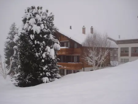 Chalet Petunia, (Grächen), 1116, Appartement 5 personnes à Grächen - Photo 28